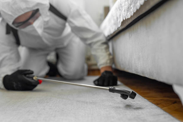 Professional Termite Control technician working in Sherwood, OR