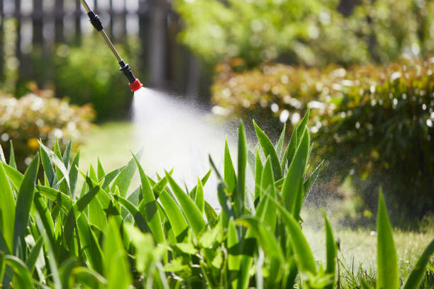 24/7 Emergency Termite Control experts in Sherwood, OR
