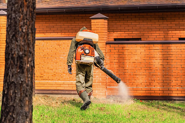 Trusted Rodent Control service in Sherwood, OR - Nex Pest Control